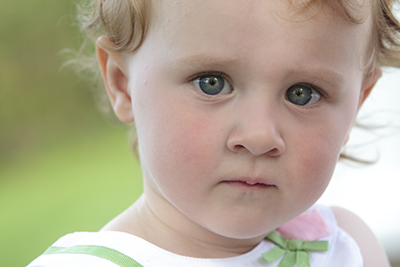 Northville Family Photographer