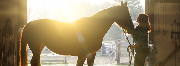Senior Pictures with Horses