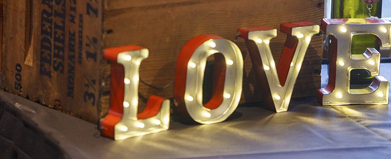 Metro Detroit Wedding Photographer