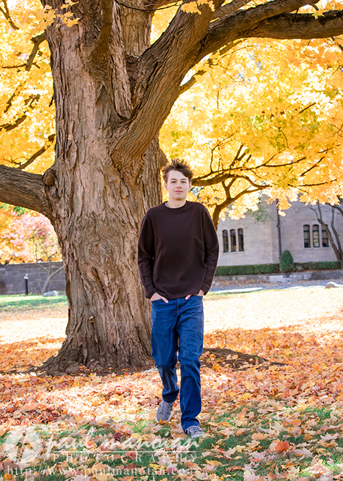 A high school senior wearing a brown sweater and blue jeans walks along a path covered in autumn leaves, capturing the essence of fall senior pictures. Behind them is a large tree with vibrant yellow foliage and a stone building in the background.