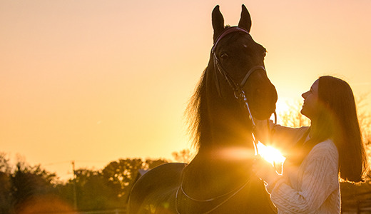 A high school senior stands beside a horse at sunset, smiling as she gently holds its bridle. The scene, reminiscent of timeless senior pictures, captures the sun's warm glow creating a serene and peaceful setting with silhouetted trees in the background.