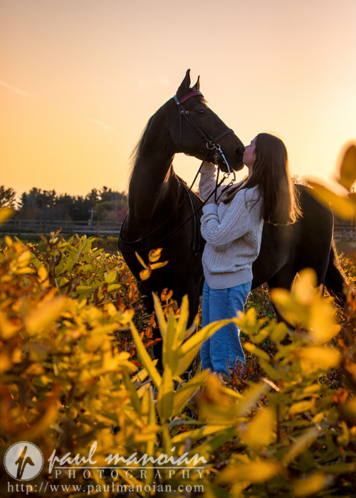 A high school senior wearing a sweater stands in a field of yellow plants, capturing the perfect senior picture while holding and admiring a black horse with a bridle. The scene is warmly lit by the setting sun, creating a serene and intimate atmosphere, showcasing brilliant photography.