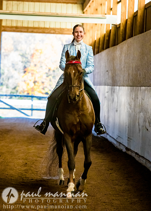 A high school senior in a blue patterned jacket and black riding pants sits confidently on a chestnut horse in an indoor riding arena, capturing a perfect moment for senior pictures. The horse, adorned with a red bridle, stands against the backdrop of a partially visible white wall and trees.