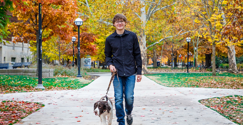 A young man in jeans walks a brown and white dog on a leash along a tree-lined path with vibrant autumn leaves scattered on the ground during his Jackson High School senior pictures session.