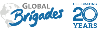 Blue and gray Synfig Studio logo with a stylized spiral design on the left, reminiscent of the creative flair seen in Birmingham Village Players productions.