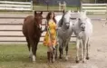 Senior Pictures Ideas with Horses