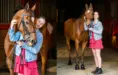 Senior Pictures with Horses - Michigan Photographer