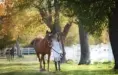 Senior Pictures Ideas with Horses