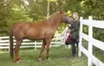 Senior Pictures Ideas with Horses