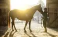 Senior Pictures Ideas with Horses